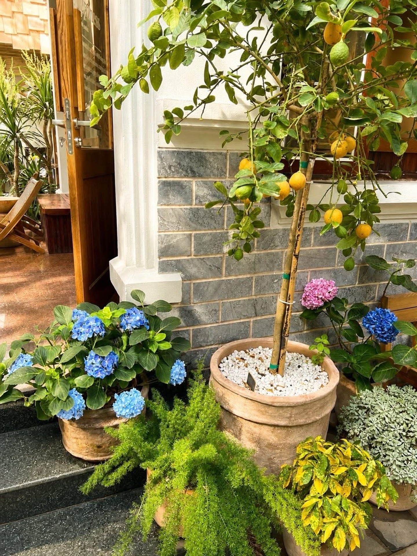 Bán nhà Trần Quốc Hoàn, Cầu Giấy - 250m2 | 4 tầng | Mặt tiền 30m x 80m | Giá 118 tỷ - Ảnh 18
