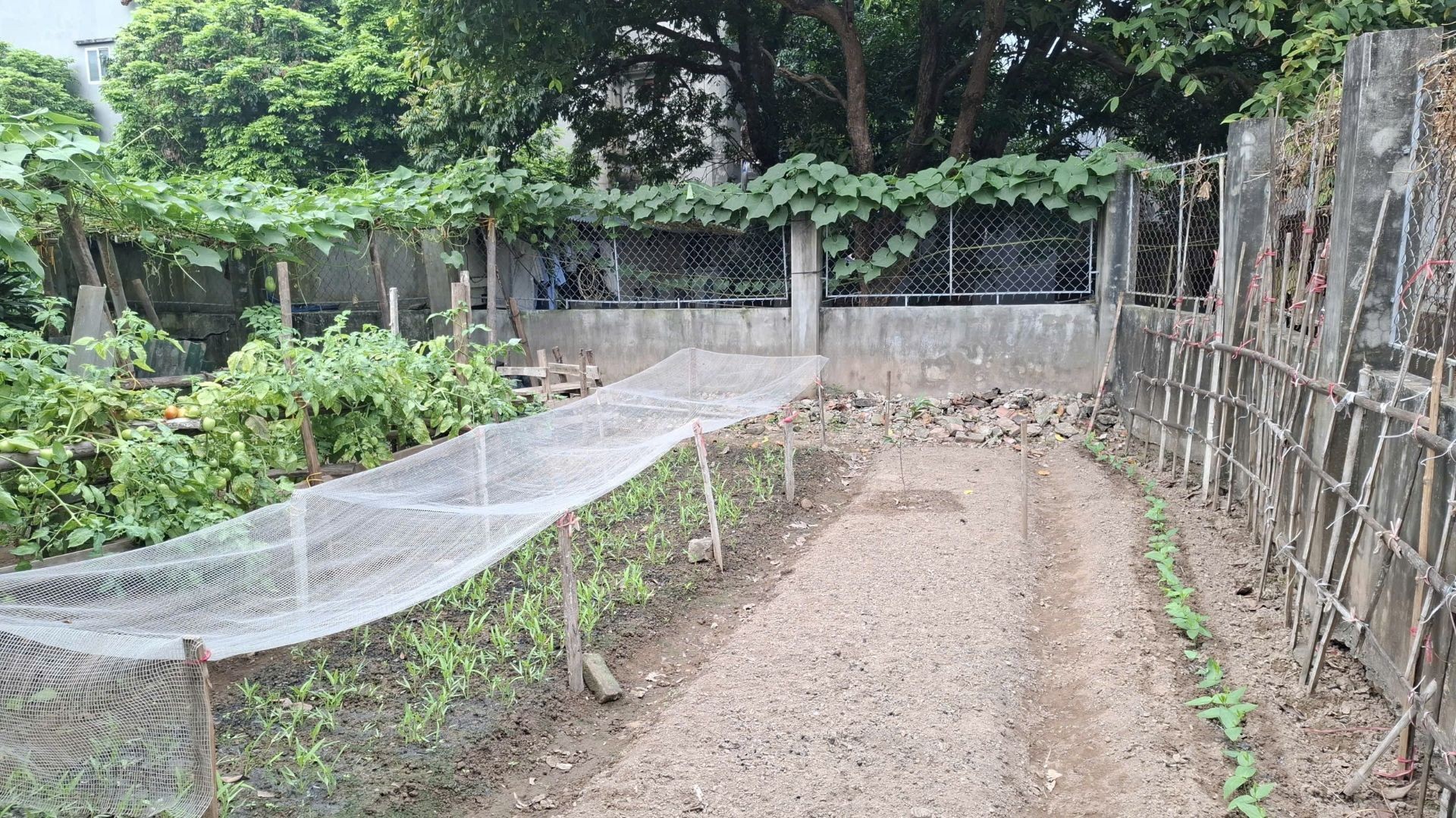 Đàm Quang Trung 13,9 tỷ | 100m2 | Mặt tiền 9m | Dài 11m | Đất đẹp, lô góc, gần ôtô Đàm Quang Trung 13,9 tỷ | 100m2 | Mặt tiền 9m | Dài 11m | Đất đẹp, lô góc, gần ôtô