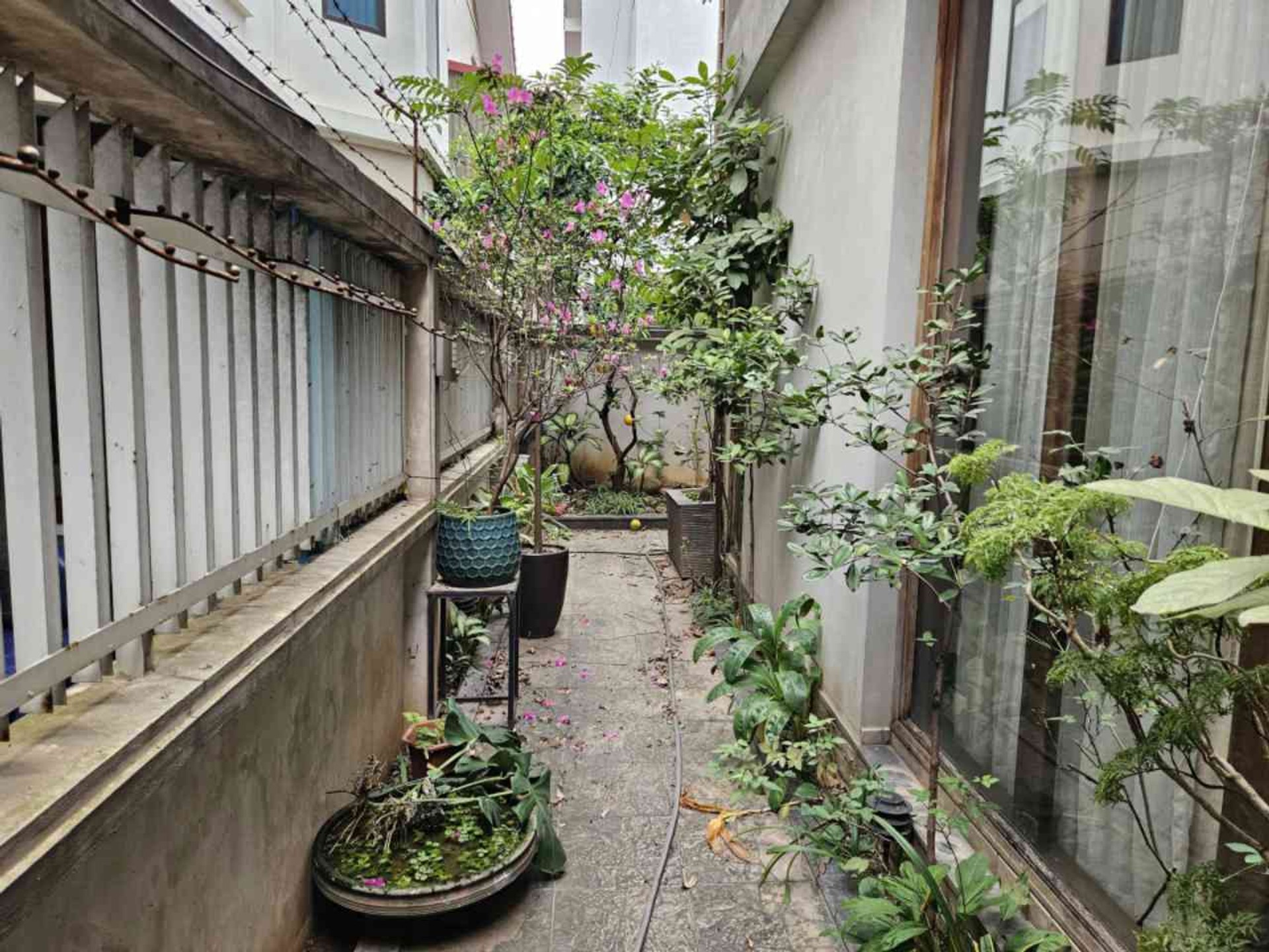 Bán biệt thự Sài Đồng - 303m2 | 5 tầng | 13m x 23m | Giá 75 tỷ - Q. Long Biên - Liên hệ 0982.497.846 - Biệt thự sân vườn, Nội thất toàn gỗ xịn, Vị trí đẹp, Ôtô dừng đỗ, Yên tĩnh, Đẳng cấp - Ảnh 7
