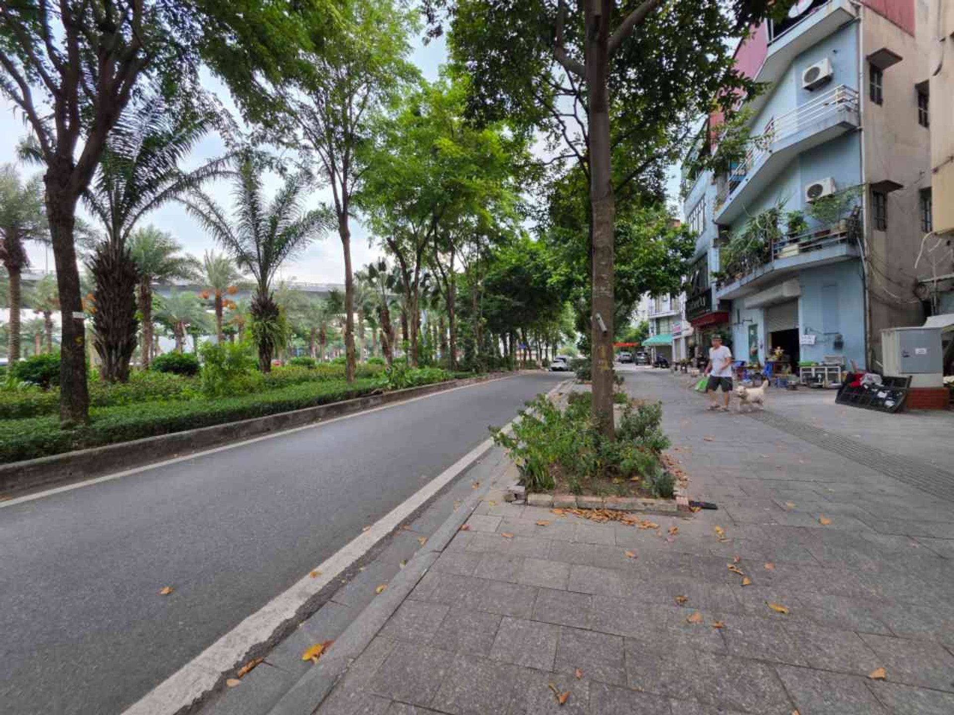 Alternative view of Bán nhà mặt phố Ngô Gia Tự - 40 tỷ | 175m2 | 4 tầng