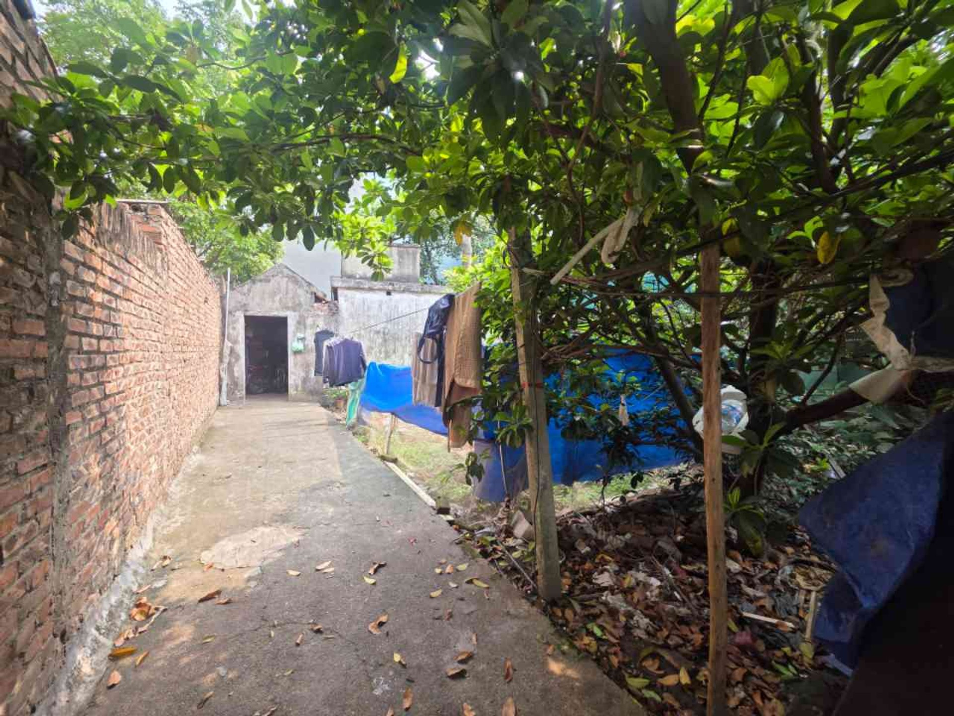 Bán đất Giang Biên 181m2 | 9m x 20m | Giá 33,6 tỷ - Q. Long Biên - Liên hệ 0982.497.846 - Ngõ thông, ôtô 7 chỗ vào đất, Mặt tiền 9m, Có thể tách 2 lô - Ảnh 3