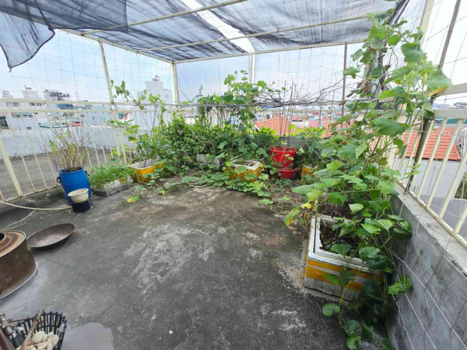 Bán nhà Vũ Xuân Thiều, Q. Long Biên - 64m2 | 5 tầng | Mặt tiền 4,1m x 15,3m | Giá 15,5 tỷ - Ảnh 10