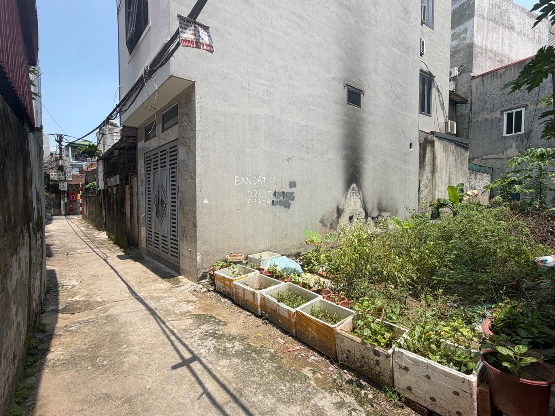 Bán đất Phúc Lợi - 62m2 | 3,9m x 15,6m | Giá 7,3 tỷ - Q. Long Biên - Liên hệ 0982.497.846 - Nở hậu, Cách đường ôtô tránh khoảng 20m, Khu dân cư văn minh, yên tĩnh, hàng xóm thân thiện - Ảnh 2