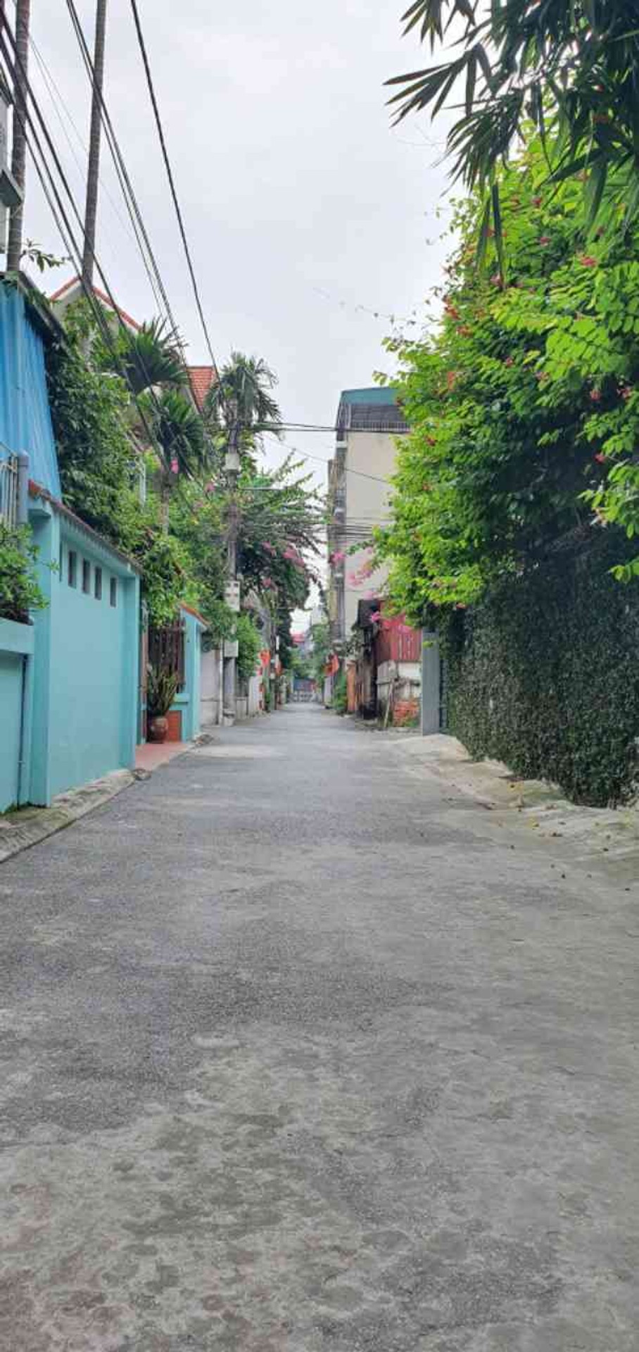 Bán đất Giang Biên 105m2 | 4,9m x 21,4m | Giá 20,5 tỷ - Q. Long Biên - Liên hệ 0982.497.846 - Bán đất tặng nhà, Ngõ thông, ôtô tránh đỗ cửa - Ảnh 3