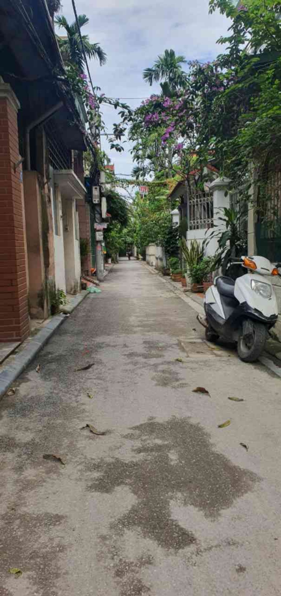 Alternative view of Bán nhà Ngọc Thụy, Q. Long Biên - 96m2 | 1 tầng | Mặt tiền 4,8m x 20m | Giá 21,5 tỷ