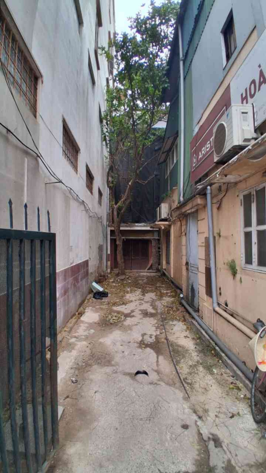 Ảnh 4 nhà Bích Câu, Văn Miếu - Quốc Tử Giám