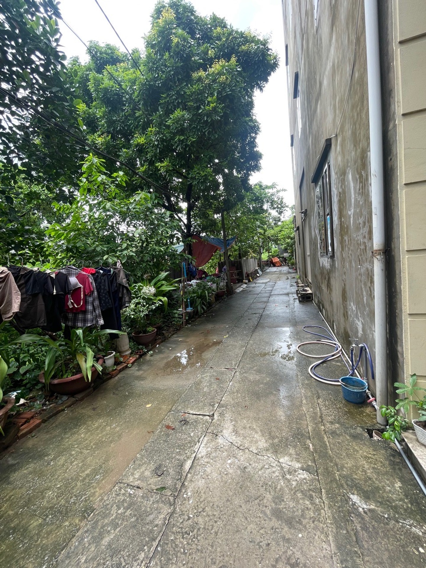 Bán đất Ngọc Thụy - 77m2 | 4,5m x 17m | Giá 7,9 tỷ - Q. Long Biên - Liên hệ 0982.497.846 - Đất phân lô, Ôtô đỗ cửa, Lô góc, 2 mặt tiền, Gần KĐT Khai Sơn, Gần trường học các cấp, Đường to rộng bát ngát, Gần công viên - Ảnh 4