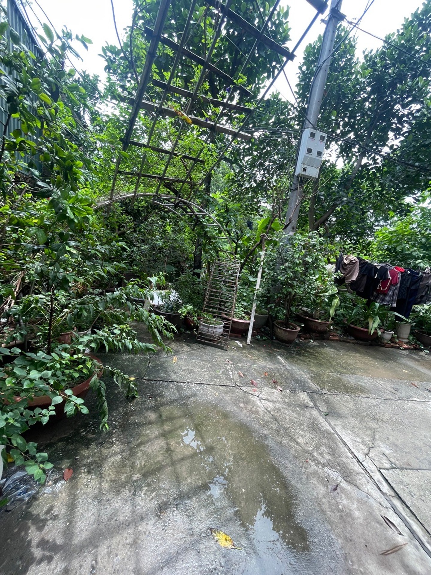 Bán đất Ngọc Thụy – 77m2 | 4,5m x 17m | Giá 7,9 tỷ – Q. Long Biên – Liên hệ 0982.497.846 – Đất phân lô, Ôtô đỗ cửa, Lô góc, 2 mặt tiền, Gần KĐT Khai Sơn, Gần trường học các cấp, Đường to rộng bát ngát, Gần công viên Bán đất Ngọc Thụy – 77m2 | 4,5m x 17m | Giá 7,9 tỷ – Q. Long Biên – Liên hệ 0982.497.846 – Đất phân lô, Ôtô đỗ cửa, Lô góc, 2 mặt tiền, Gần KĐT Khai Sơn, Gần trường học các cấp, Đường to rộng bát ngát, Gần công viên