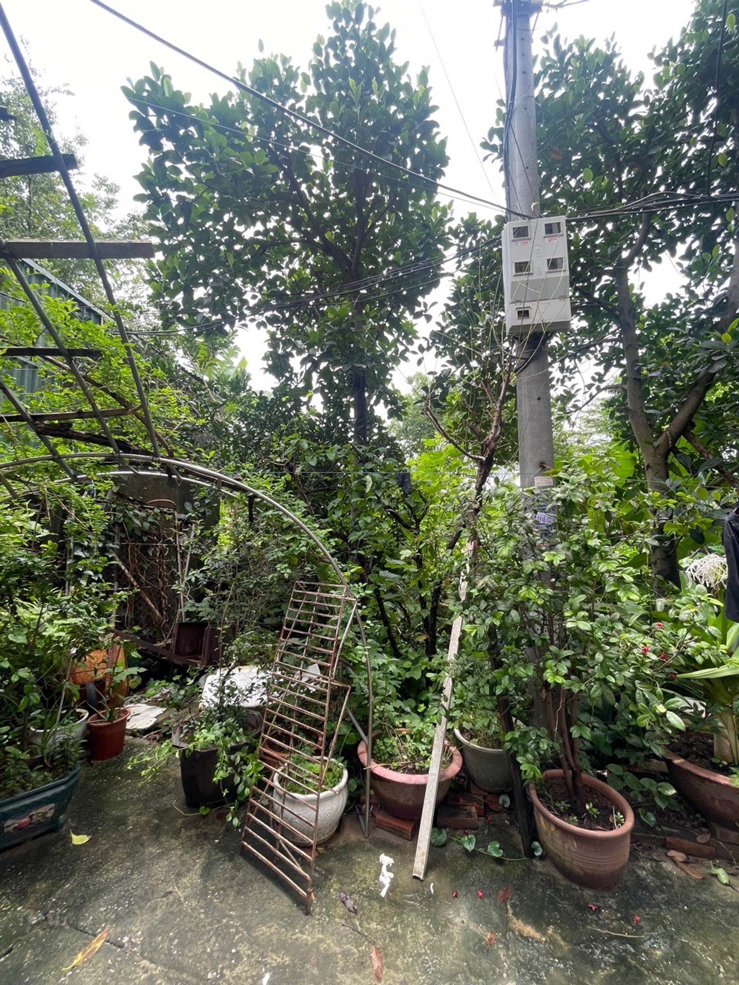 Bán đất Ngọc Thụy - 77m2 | 4,5m x 17m | Giá 7,9 tỷ - Q. Long Biên - Liên hệ 0982.497.846 - Đất phân lô, Ôtô đỗ cửa, Lô góc, 2 mặt tiền, Gần KĐT Khai Sơn, Gần trường học các cấp, Đường to rộng bát ngát, Gần công viên - Ảnh 5