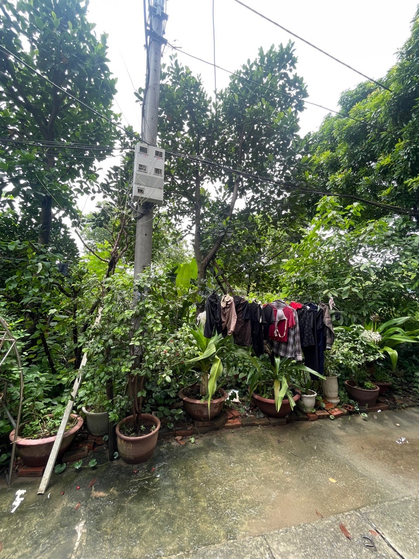 Bán đất Ngọc Thụy - 77m2 | 4,5m x 17m | Giá 7,9 tỷ - Q. Long Biên - Liên hệ 0982.497.846 - Đất phân lô, Ôtô đỗ cửa, Lô góc, 2 mặt tiền, Gần KĐT Khai Sơn, Gần trường học các cấp, Đường to rộng bát ngát, Gần công viên - Ảnh 6