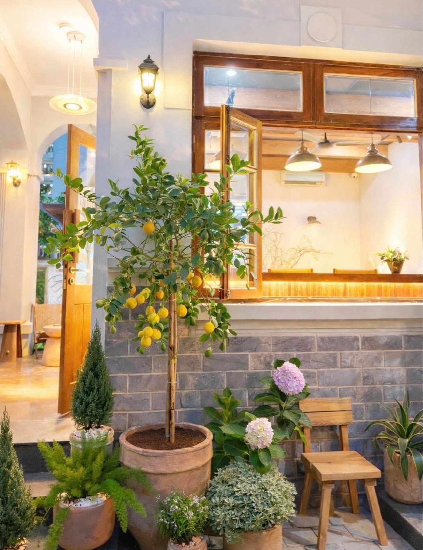 Bán nhà Trần Quốc Hoàn, Cầu Giấy - 250m2 | 4 tầng | Mặt tiền 30m x 80m | Giá 118 tỷ - Ảnh 10