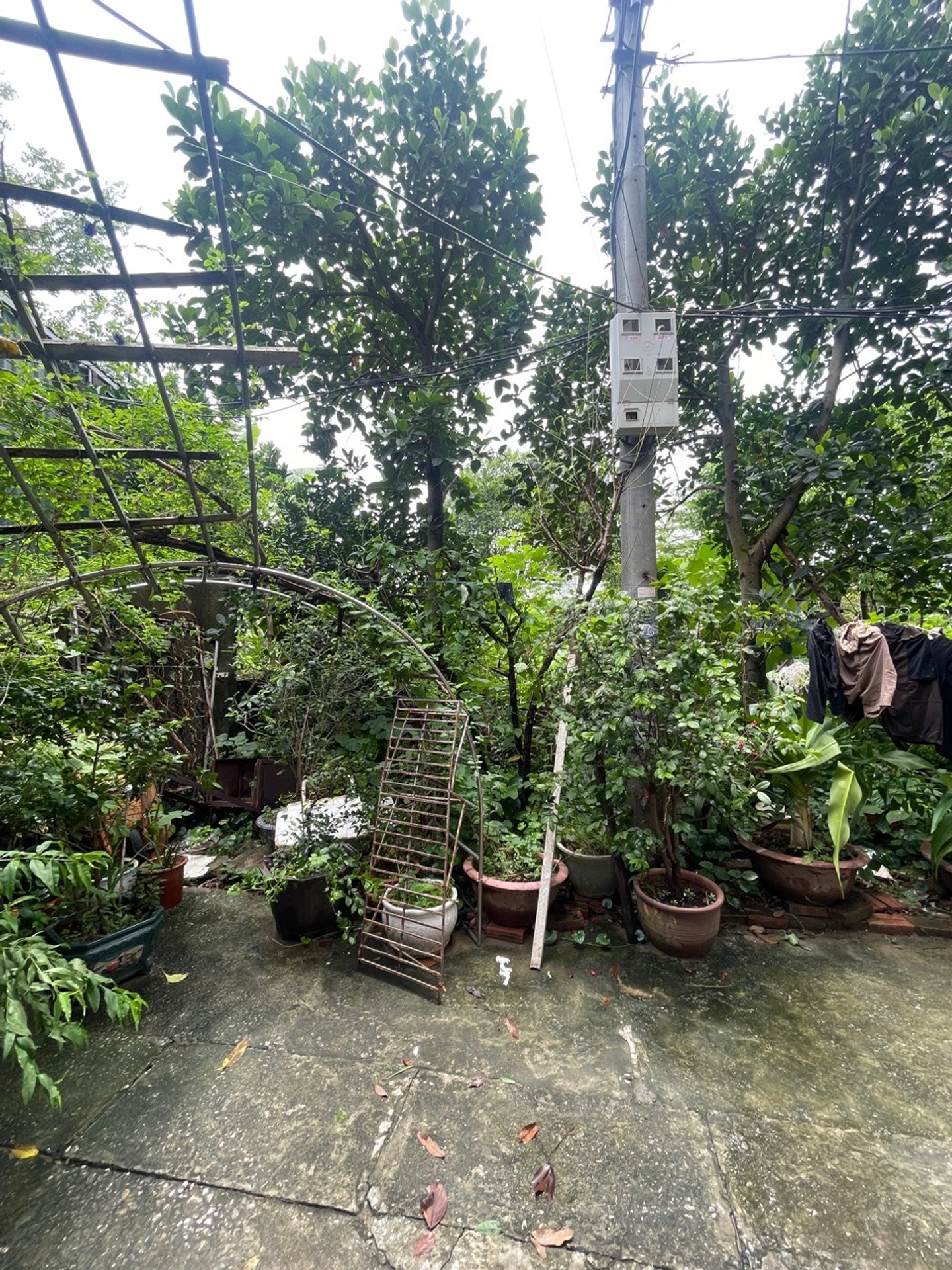 Bán đất Ngọc Thụy - 77m2 | 4,5m x 17m | Giá 7,9 tỷ - Q. Long Biên - Liên hệ 0982.497.846 - Đất phân lô, Ôtô đỗ cửa, Lô góc, 2 mặt tiền, Gần KĐT Khai Sơn, Gần trường học các cấp, Đường to rộng bát ngát, Gần công viên - Ảnh 3
