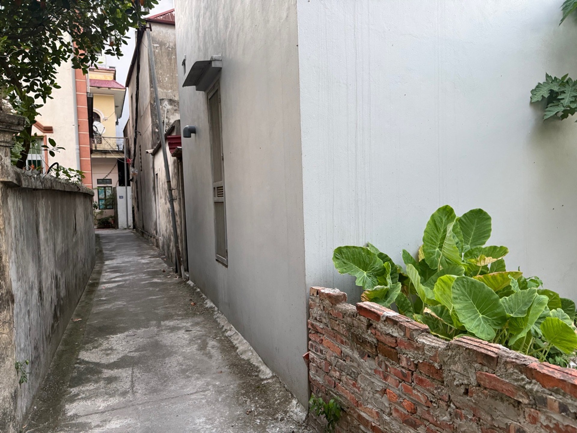 Bán nhà cấp 4 phố Hoa Lâm, Long Biên - Diện tích 40m2 | 1 tầng | Mặt tiền 4,8m x 9m | Giá 5,6 tỷ - Ngõ thoáng, Trung tâm Việt Hưng, gần Vũ Đức Thận, Ngô Gia Tự, Việt Hưng, Lệ Mật, Cầu Chui - Ảnh 4