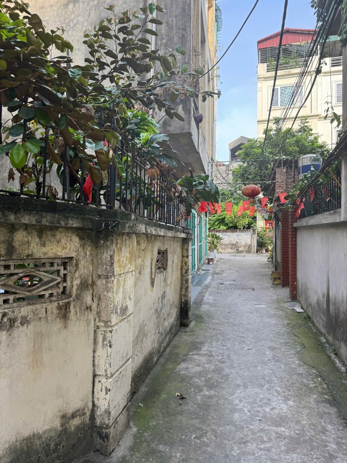 Bán nhà Kim Quan - 132m2 | 3 tầng | 8m x 16,3m | Giá 20 tỷ - Q. Long Biên - Liên hệ 0982.497.846 - Nhà có khuôn viên, Nhiều cây xanh, Bể cá coi không khí mát mẻ, Chủ xác định bán đất, Có thể mua 1 mảnh, Khách thiện chí cọc, Chủ tự tách sổ - Ảnh 15