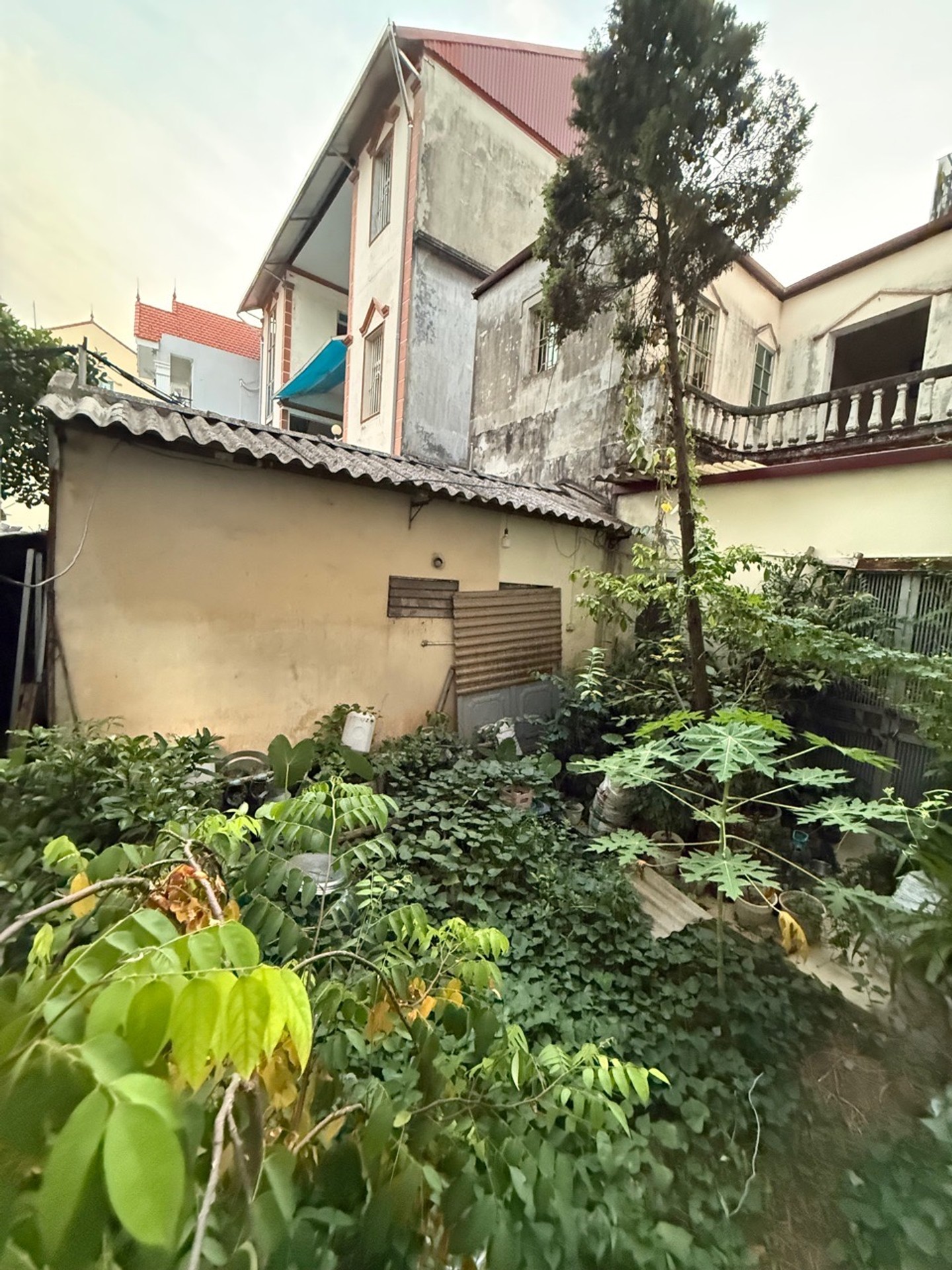 Bán nhà cấp 4 phố Hoa Lâm, Long Biên - Diện tích 40m2 | 1 tầng | Mặt tiền 4,8m x 9m | Giá 5,6 tỷ - Ngõ thoáng, Trung tâm Việt Hưng, gần Vũ Đức Thận, Ngô Gia Tự, Việt Hưng, Lệ Mật, Cầu Chui - Ảnh 6