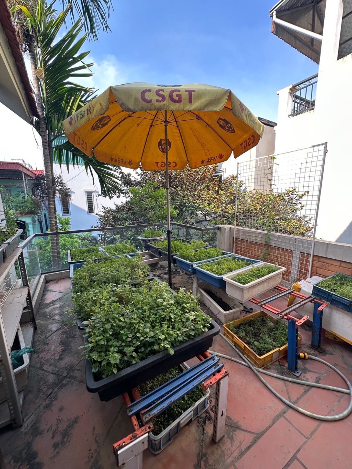 Bán nhà Bát Khối, Long Biên - 236m2 | 4 tầng | Mặt tiền 11,5m x 21m | Giá 42,4 tỷ - Ảnh 11