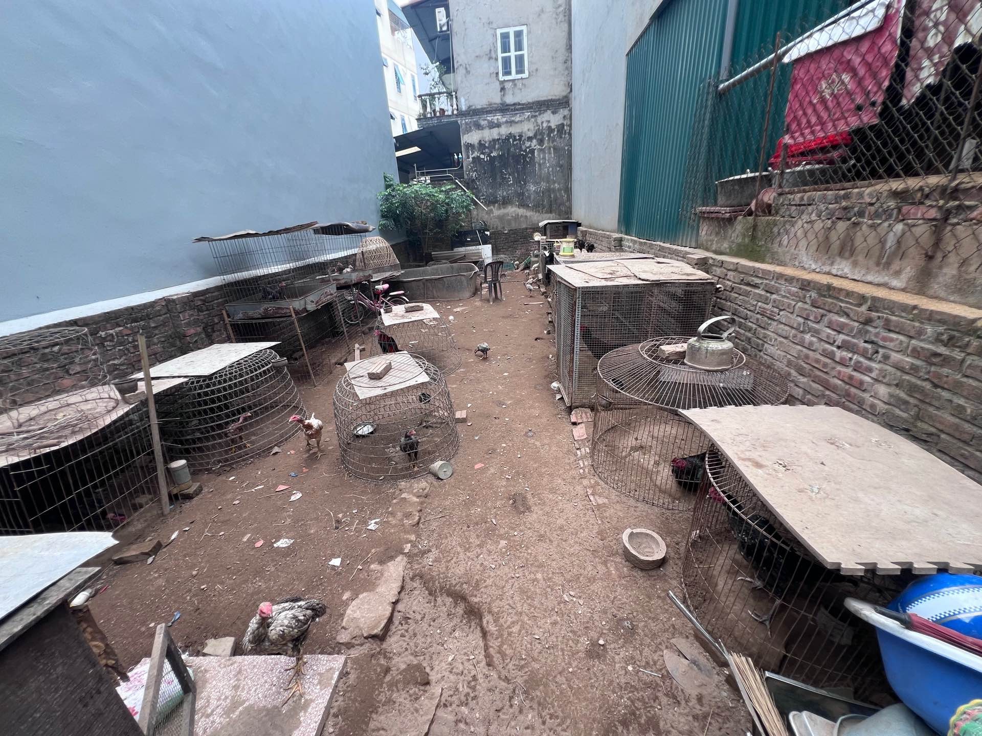 Alternative view of Bán đất Ô Cách, Q. Long Biên - 72m2 | Mặt tiền 5m x 13m | Giá 10,5 tỷ