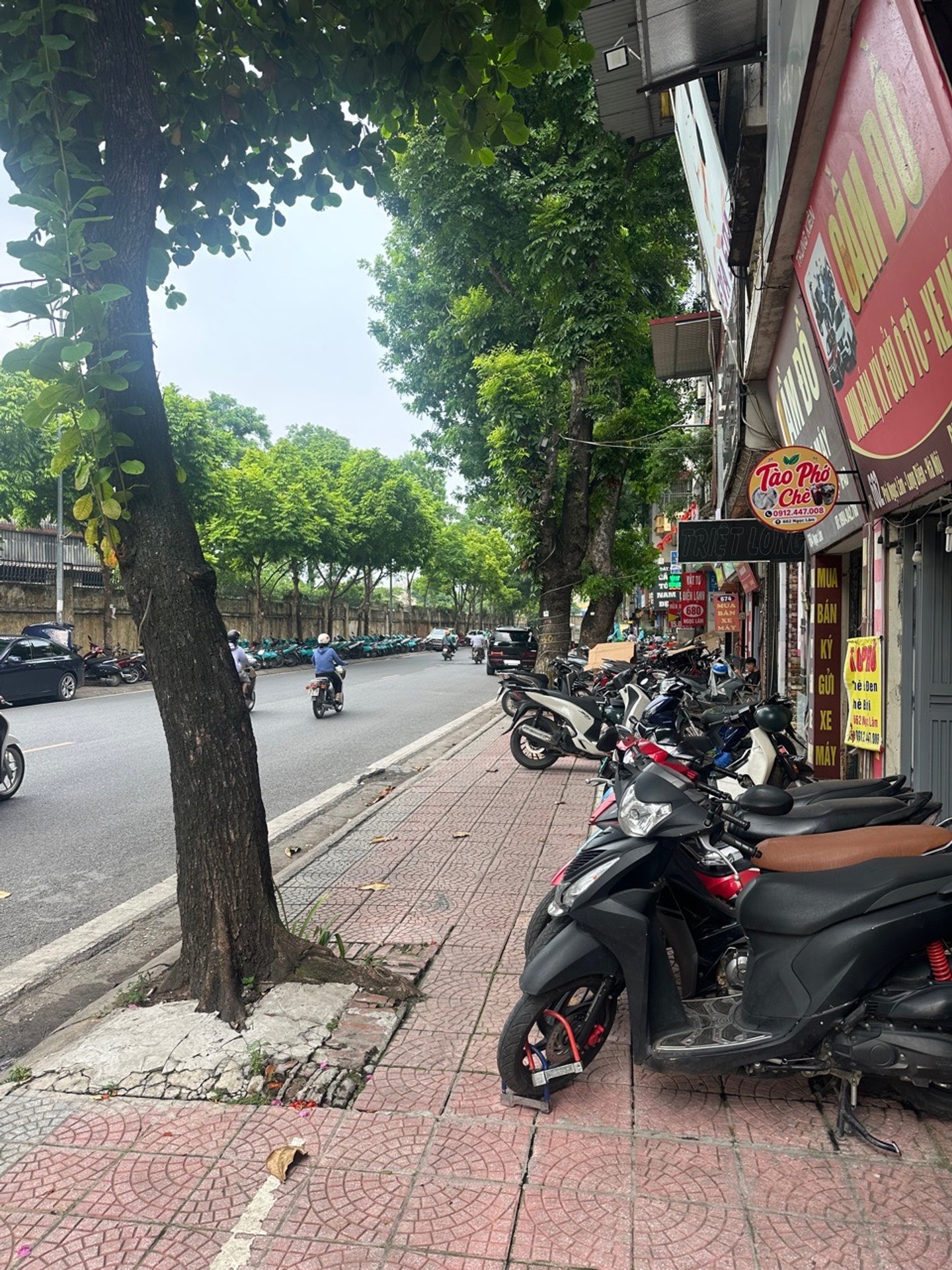 Bán nhà mặt phố Ngọc Lâm - 39m2 | 3 tầng | 3,6m x 11m | Giá 25 tỷ - Q. Long Biên - Liên hệ 0982.497.846 - Vị trí đẹp nhất, Kinh doanh sầm uất - Ảnh 7